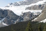 47 - Bow Lake  - IMG_0887
